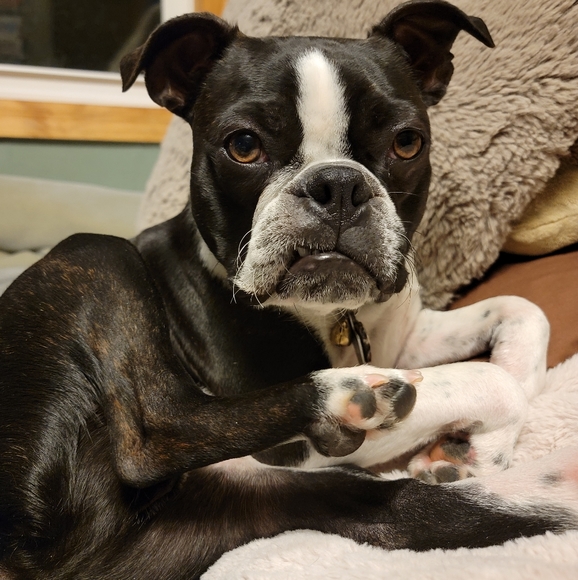 Meet your Posher, Tiff - Picture 5 of 16